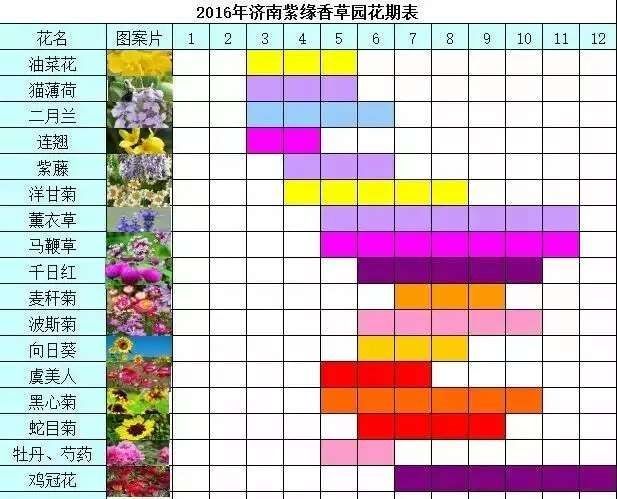 结婚前的准备事项